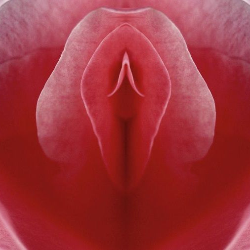 Naughty North's Complete Guide to the Clitoris