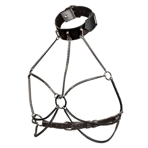 CalExotics Pasties Euphoria Multi Chain Collar Harness