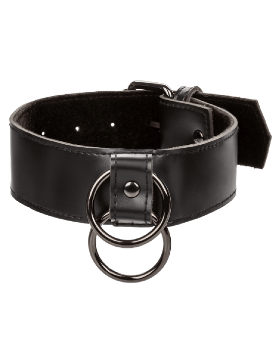 CalExotics Pasties Euphoria Vegan Leather Collar With Chain Leash