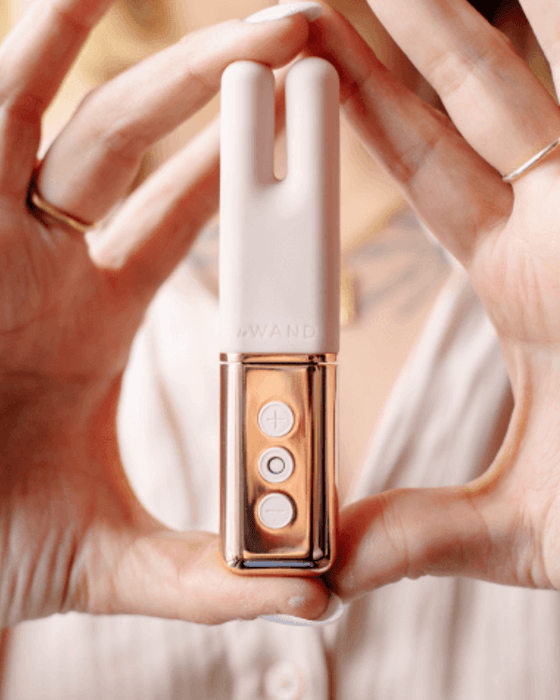 Le Wand Vibrator Le Wand Deux Twin Motor Vibrator - Rose Gold