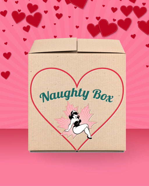 NaughtyNorth Bundle Naughty North's Boundless Booty Anal Sex Mystery Box - Valentine's 2024 Edition