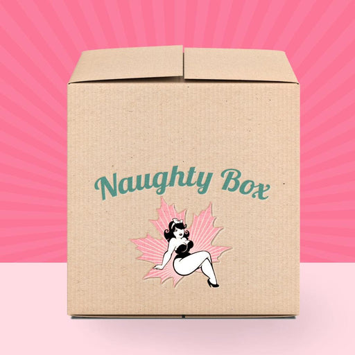 Naughty Boxes - Mystery Sex Toy Boxes for EVERY Body NN Shop Naughty Boxes - Mystery Sex Toy Boxes for EVERY Body NN Shop