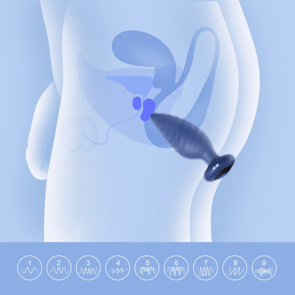 A digital illustration shows the Noah App-Enabled Rotating Butt Plug inserted into a semi-transparent human body, highlighting the prostate gland. Nine icons below indicate its various vibration modes.
