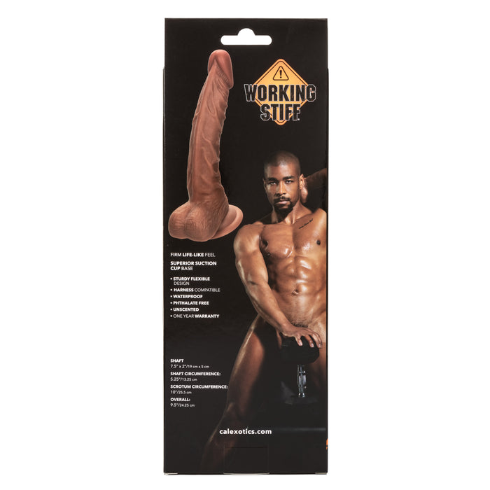 The Personal Trainer 9.5 Inch Realistic Veiny Dildo