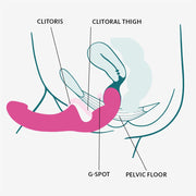 Diagram showing a pink double dildo stimulating the clitoris, G-spot, and pelvic floor.