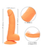 An orange, neon-hued delight, the CalExotics Silicone Stud 8 Inch Suction Cup Dildo - Orange features measurements marked: 8 inches (20.25 cm) long and 1.5 inches (3.75 cm) wide. Inset images highlight its firm feel, gentle curvature for flexible movement, and powerful suction cup base for hands-free fun.