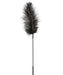 Sportsheets Feather Tickler Sportsheets Ostrich Feather Tickler - Black