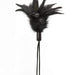 Sportsheets Feather Tickler Sportsheets Pleasure Feather - Black