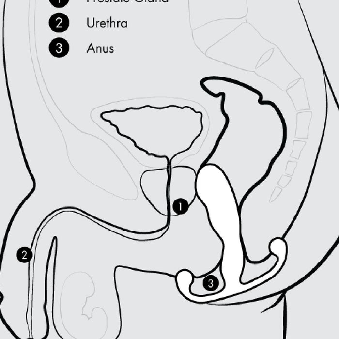Aneros Helix Trident Hands-Free Prostate Stimulator