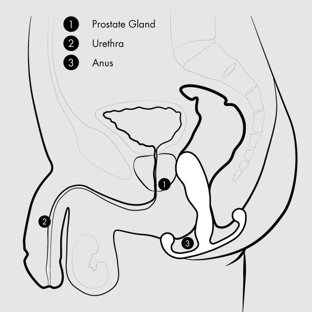 Aneros Vice 2 Vibrating Remote Control Hands-Free Prostate Stimulator