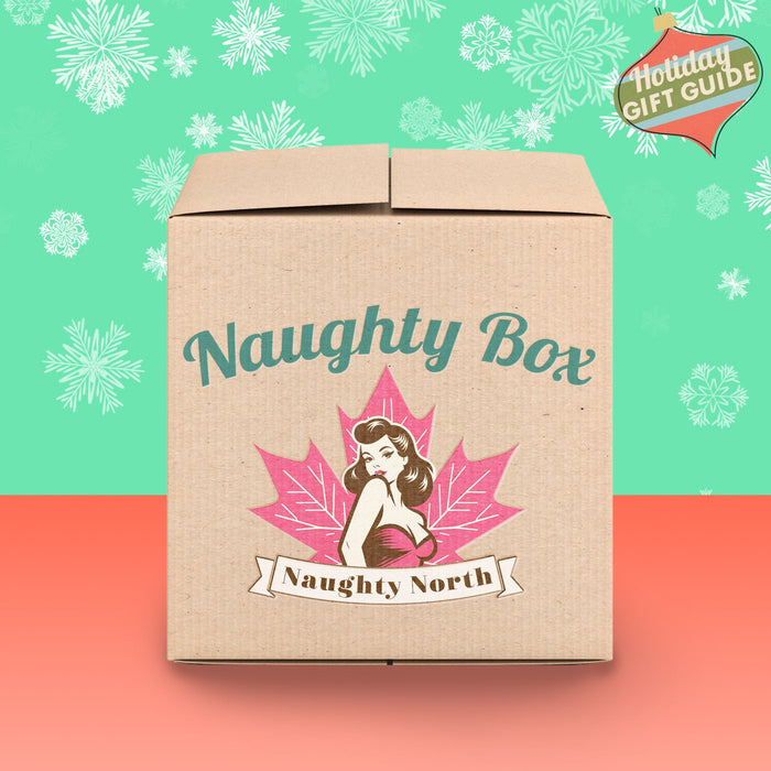 Naughty North's Kinky Kitties BDSM Mystery Box - Holiday 2024 Edition