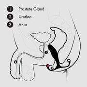 Aneros MGX Syn Trident Hands-Free Prostate Stimulator