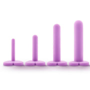 Wellness Vaginal Dilator Kit Graduated Set of 4 by Blush