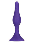 CalExotics Butt Plug Booty Call® Booty Starter Petite Silicone Plug - Purple