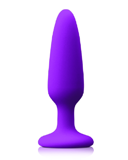 NS Novelties Butt Plug Colours Pleasures Small Butt Plug - Purple